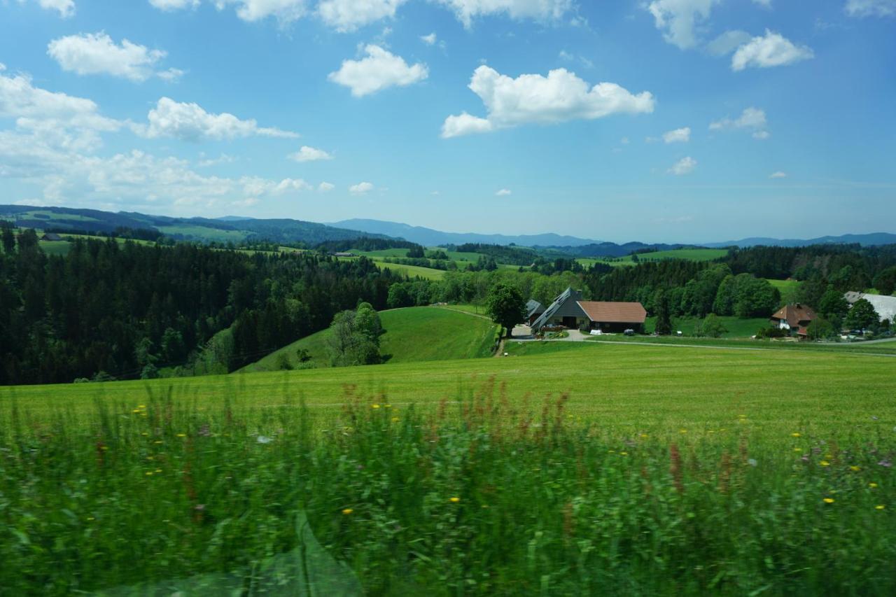 Kurparkhotel Faisst Bad Peterstal-Griesbach Zewnętrze zdjęcie