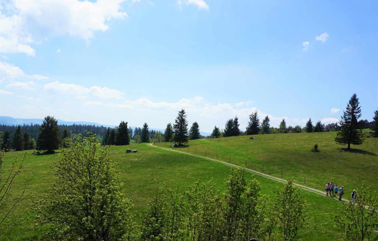 Kurparkhotel Faisst Bad Peterstal-Griesbach Zewnętrze zdjęcie